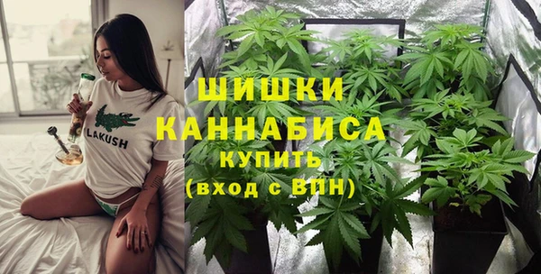 молекула духа Волосово