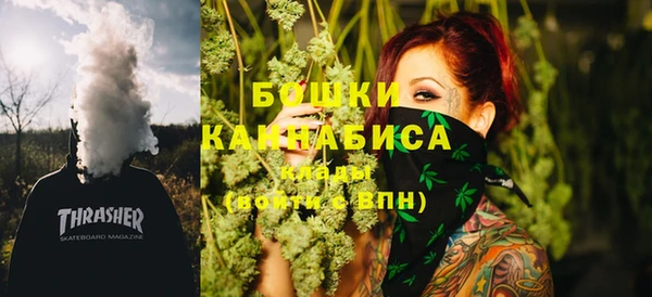 молекула духа Волосово