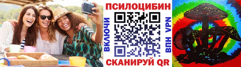Купить закладки  Киселёвск  Галлюциногенные грибы Cubensis 